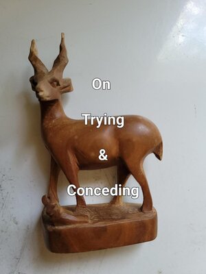 cover image of On Trying & Conceding